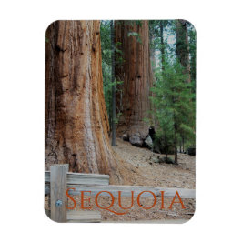 Sequoia/Kings Canyon Nationalpark Magnet