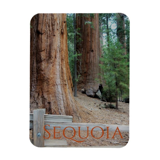 Sequoia/Kings Canyon Nationalpark Magnet (Vertikal)