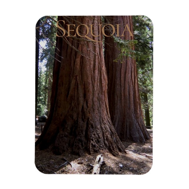 Sequoia Kings Canyon Nationalpark Magnet (Vertikal)