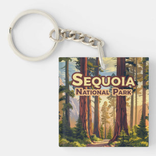 Sequoia National Park California Tree Retro