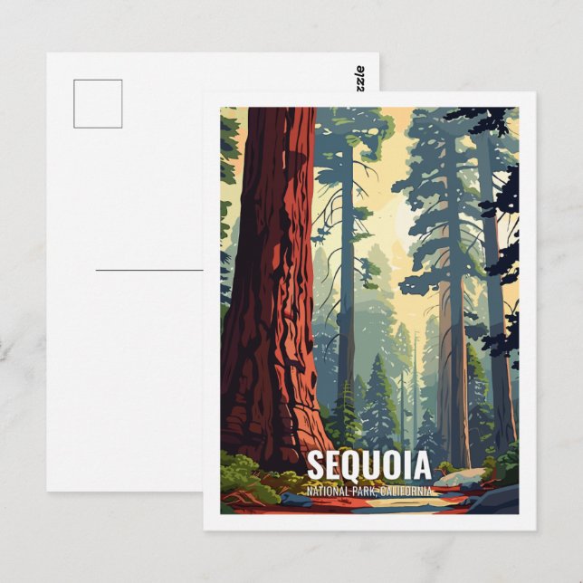Sequoia National Park California USA Postkarte (Vorne/Hinten)