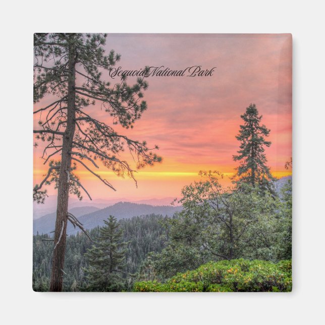 Sequoia National Park, Kalifornien, Magnet (Vorne)