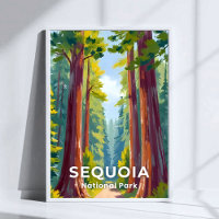 Sequoia National Park | Kalifornien Reise
