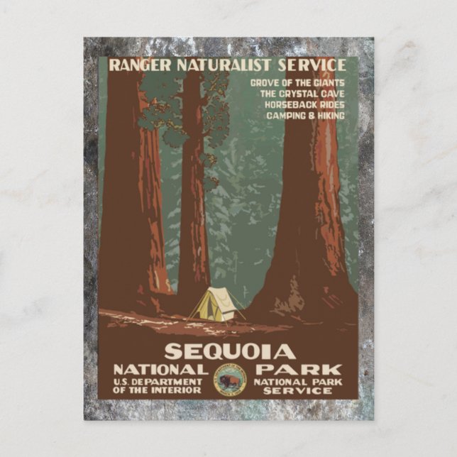 Sequoia National       ParkVintage - Reise Postkarte (Vorderseite)