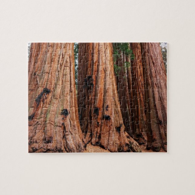 Sequoia-Nationalpark (Horizontal)