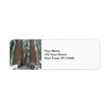 Sequoia-Nationalpark