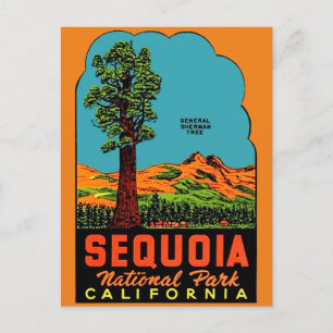 Sequoia Nationalpark California Postkarte