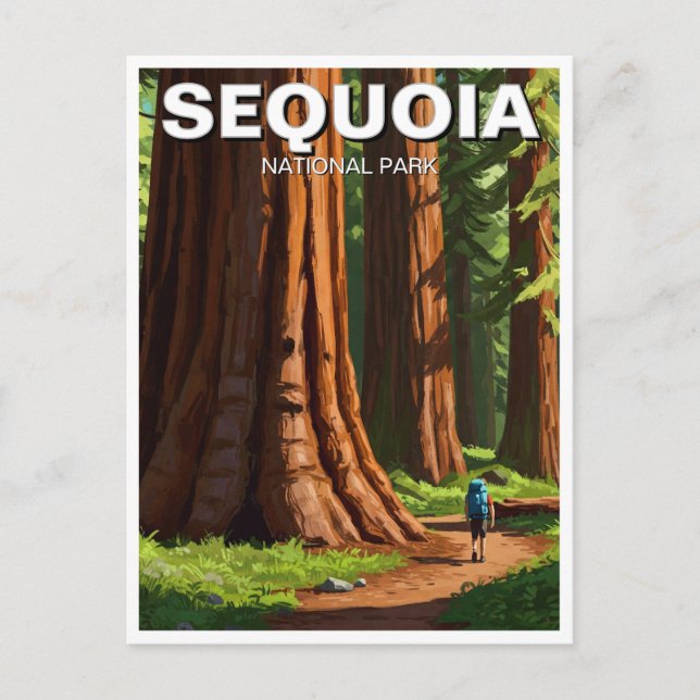 Sequoia Nationalpark California Postkarte (Vorderseite)