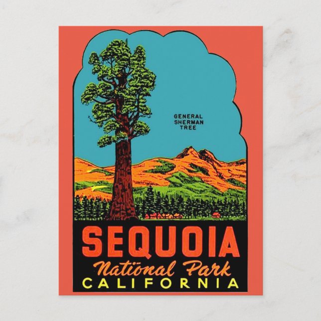 Sequoia Nationalpark California Postkarte (Vorderseite)