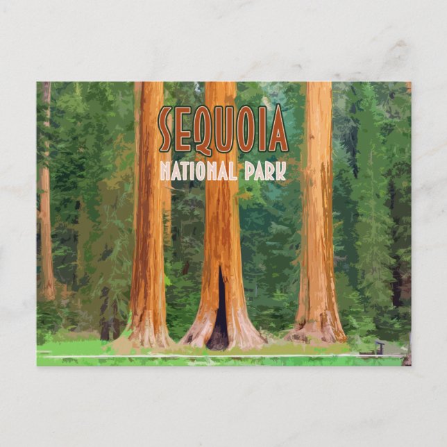 Sequoia Nationalpark California Vintag Postkarte (Vorderseite)