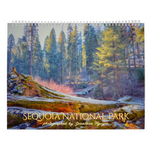Sequoia Nationalpark Forest Landscapes Kalender