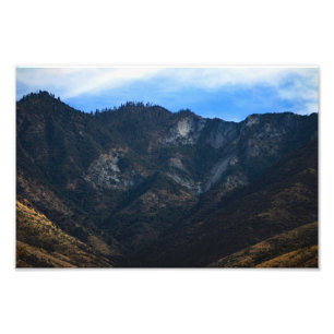 Sequoia-Nationalpark Fotodruck