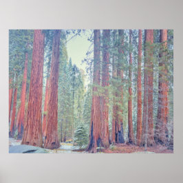 Sequoia Nationalpark Landschaft Poster