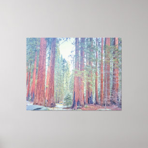 Sequoia-Nationalpark Leinwanddruck