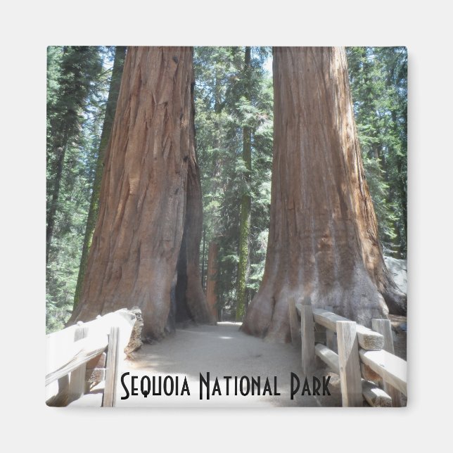 Sequoia-Nationalpark Magnet (Vorne)