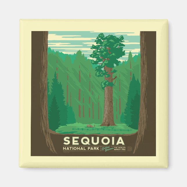 Sequoia-Nationalpark Magnet (Vorne)
