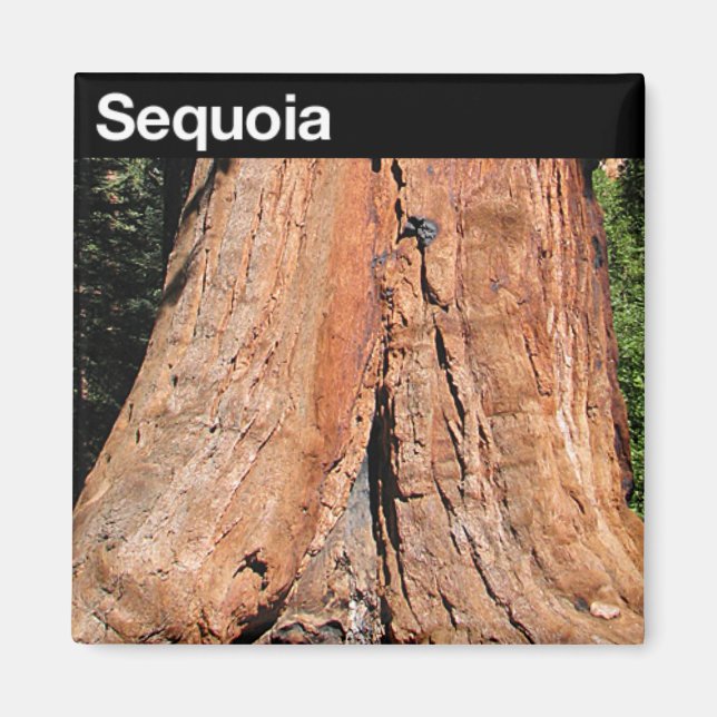 Sequoia-Nationalpark Magnet (Vorne)