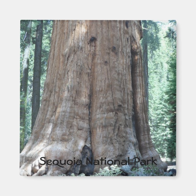 Sequoia-Nationalpark Magnet (Vorne)