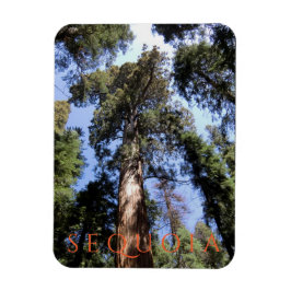 Sequoia-Nationalpark Magnet