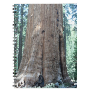 Sequoia-Nationalpark Notizblock