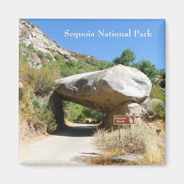 Sequoia Nationalpark/Tunnel Rock Magnet! Magnet (Vorne)