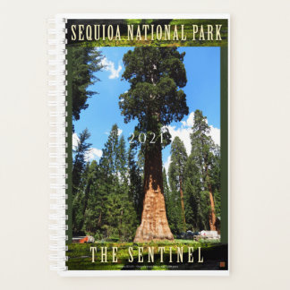 SEQUOIA NAT'L PARK-California-The Sentinel- Planer