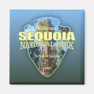 Sequoia NP (Pfeilspitzen) Magnet
