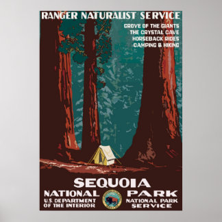 Sequoia Poster