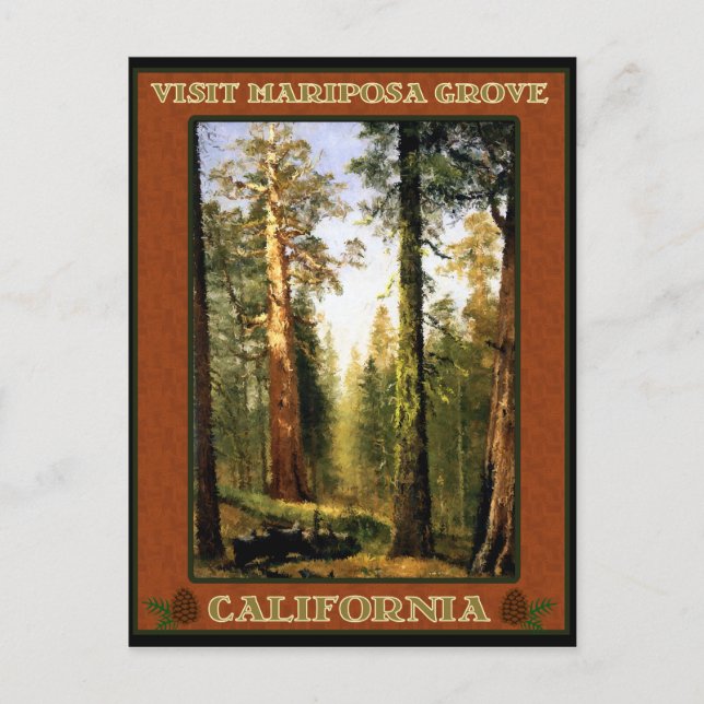 Sequoia Trees at Mariposa Grove Postkarte (Vorderseite)