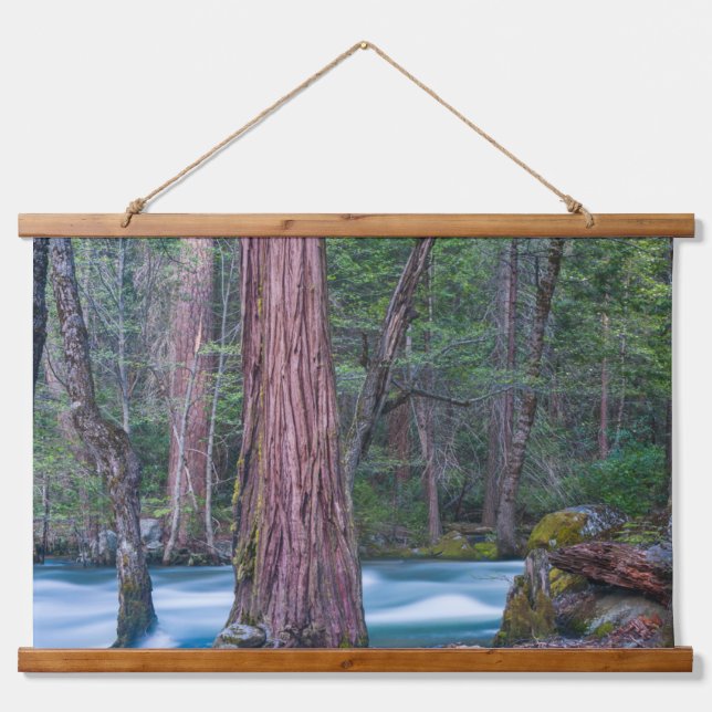 Sequoias & Merced River Yosemite National Park, CA Wandteppich Mit Holzrahmen (Vorne)