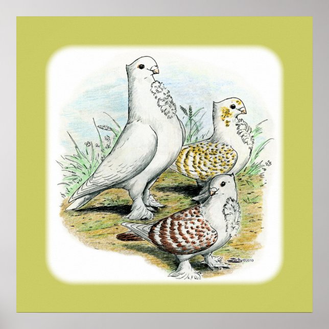 Seraphim Poster (Vorne)