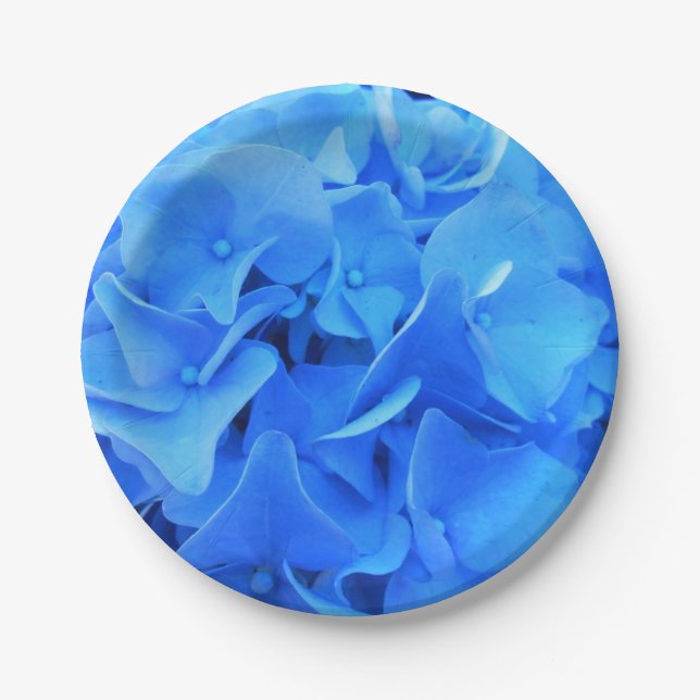 Serapin Pappteller (Vorderseite)