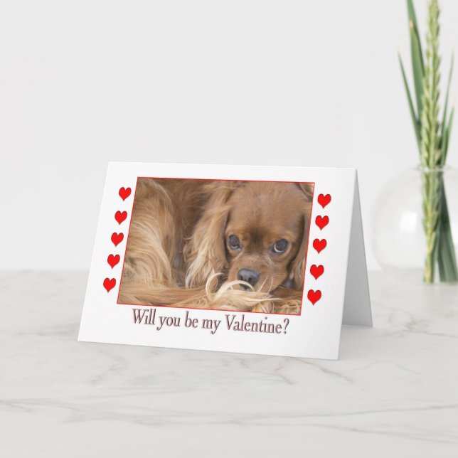 Seras-tu ma carte de Saint-Valentin Spaniel (Devant)