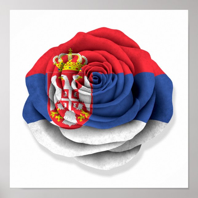 Serbian Rose Flag on White Poster (Vorne)