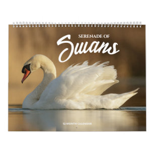 Serenade von Swans Kalender