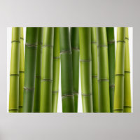 Serene Bamboo