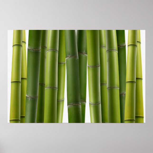 Serene Bamboo Poster (Vorne)