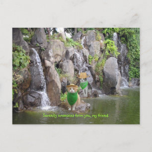 Serene Bubba Postkarte