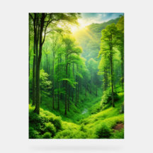 Serene Forest Glow" Mur Art.