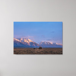 Serene Grand Teton Open Prairie Leinwanddruck