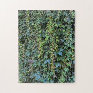 Serene Green Ivy Wall Hanging Vines Pflanze Blätte