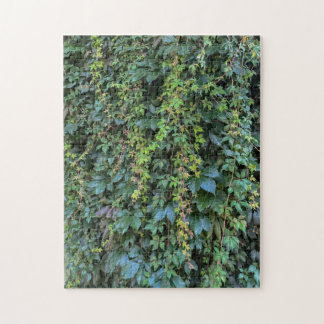 Serene Green Ivy Wall Hanging Vines Pflanze Blätte