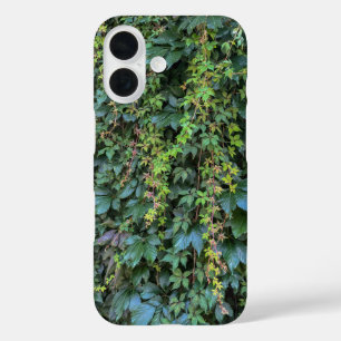 Serene Green Ivy Wall Hanging Vines Pflanze Blätte iPhone 16 Hülle