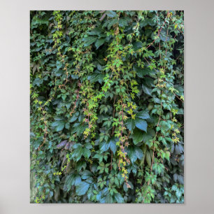 Serene Green Ivy Wall Hanging Vines Pflanze Blätte Poster