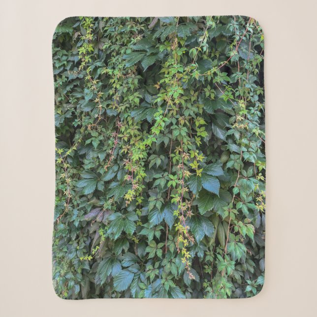 Serene Green Ivy Wall Hanging Vines Pflanze Blätte Sherpadecke (Vorderseite)