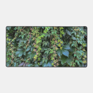 Serene Green Ivy Wall Suspendre Vins Plantes Feuil