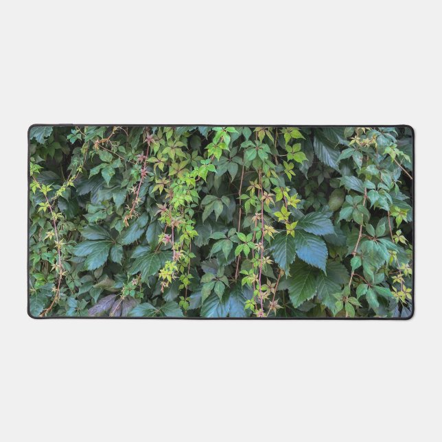 Serene Green Ivy Wall Suspendre Vins Plantes Feuil (Recto)