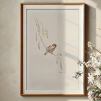 Serene House Sparrow