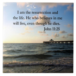 SERENE JOHN 11:25 SCRIPTURE-DESIGN FLIESE