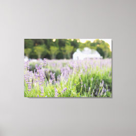 Serene Lavender Fields Leinwanddruck